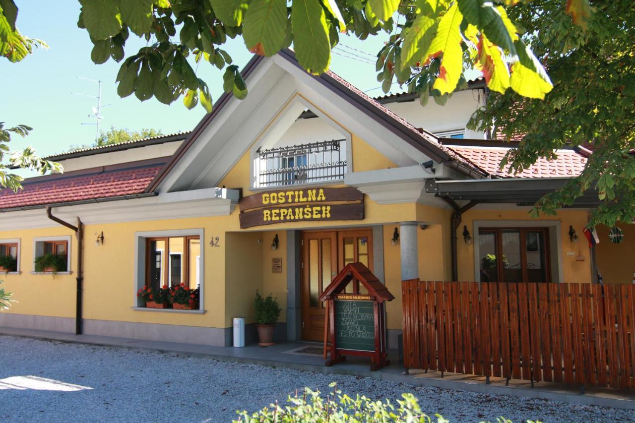 Bed and Breakfast Penzion Repanšek Radomlje Exterior foto