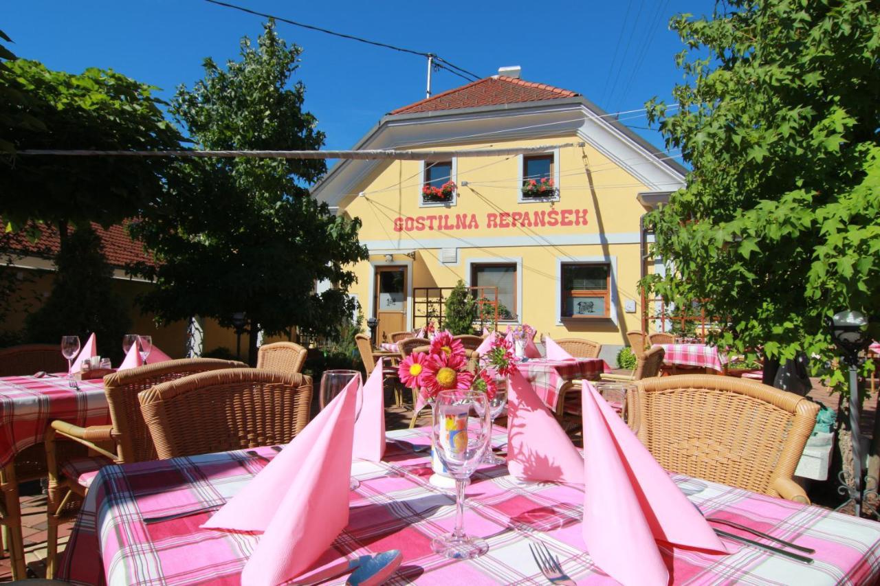 Bed and Breakfast Penzion Repanšek Radomlje Exterior foto