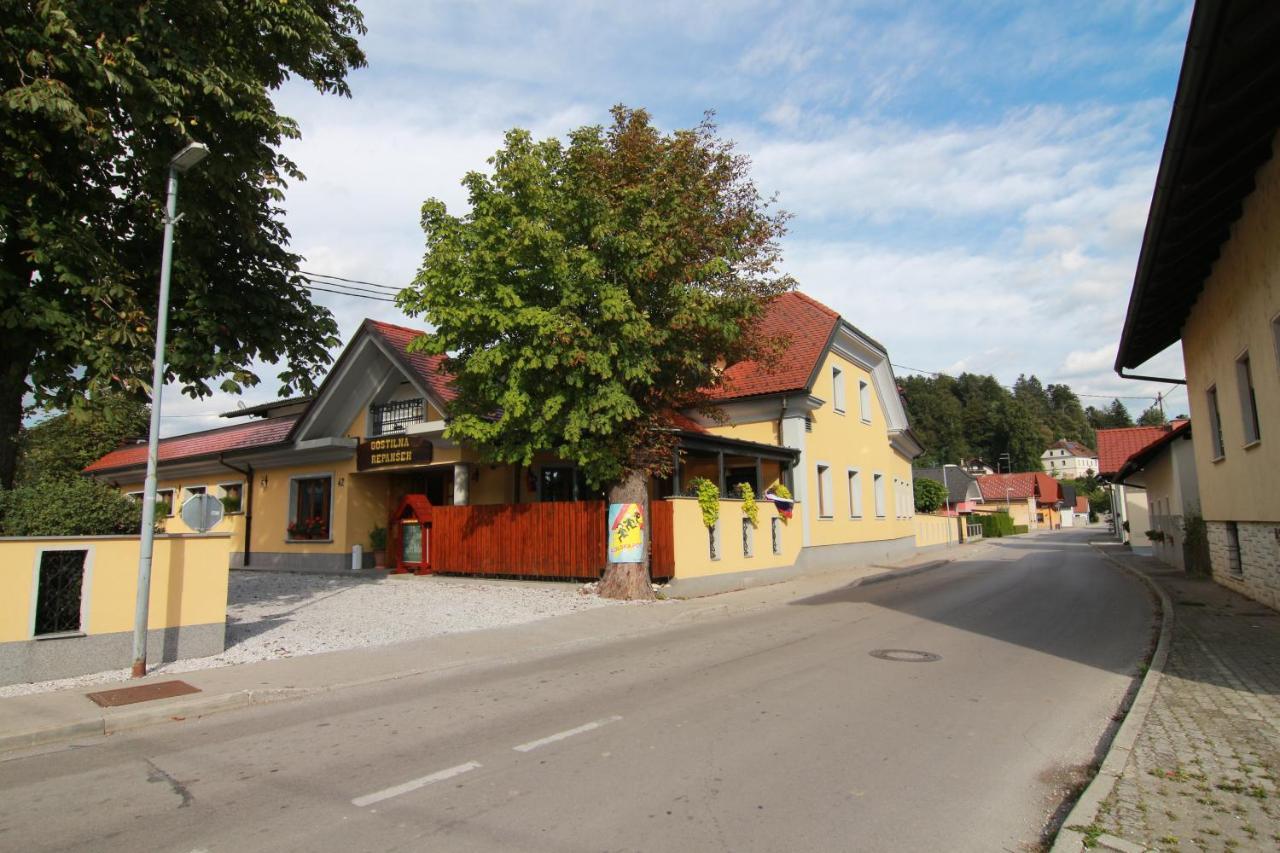 Bed and Breakfast Penzion Repanšek Radomlje Exterior foto