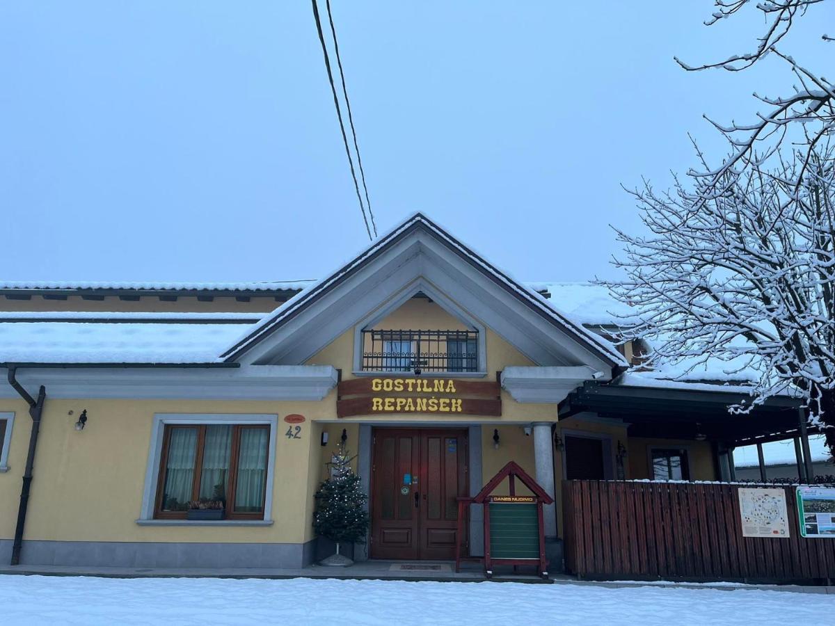 Bed and Breakfast Penzion Repanšek Radomlje Exterior foto